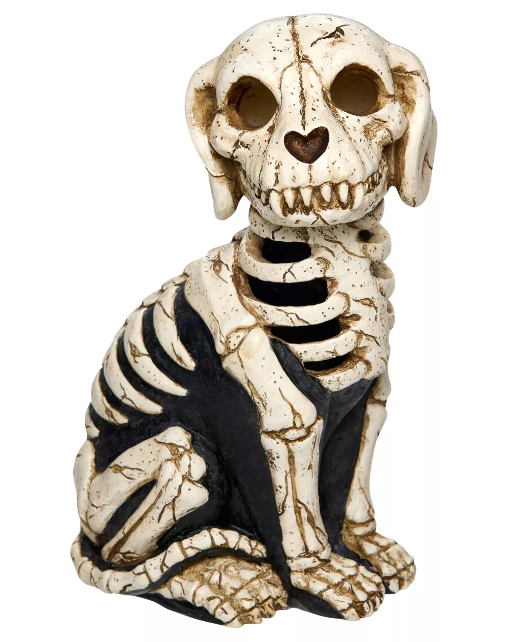05038393-a